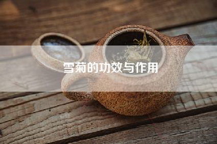 雪菊的功效与作用