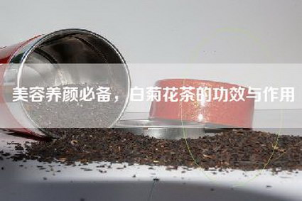 美容养颜必备，白菊花茶的功效与作用