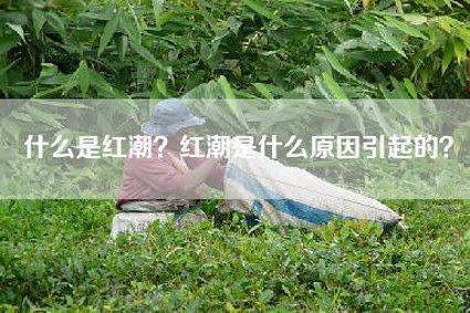 什么是红潮？红潮是什么原因引起的？