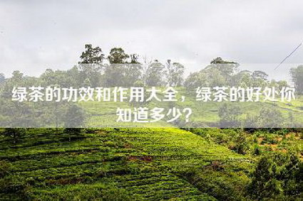 绿茶的功效和作用大全，绿茶的好处你知道多少？