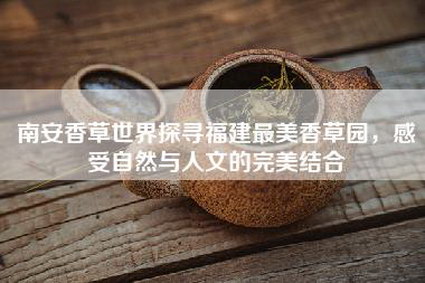 南安香草世界探寻福建最美香草园，感受自然与人文的完美结合