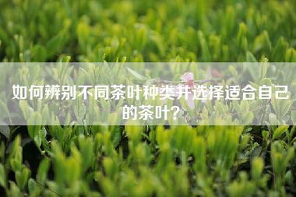 如何辨别不同茶叶种类并选择适合自己的茶叶？