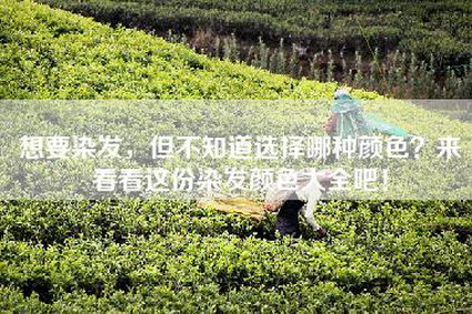 想要染发，但不知道选择哪种颜色？来看看这份染发颜色大全吧！
