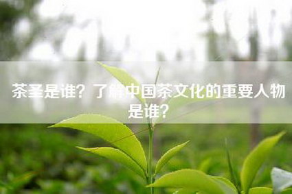 茶圣是谁？了解中国茶文化的重要人物是谁？