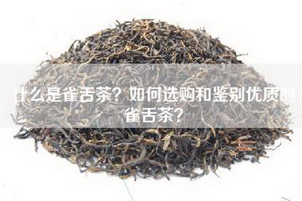 什么是雀舌茶？如何选购和鉴别优质的雀舌茶？