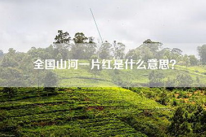 全国山河一片红是什么意思？