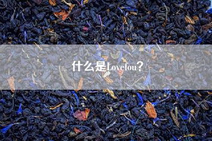 什么是Lovefou？