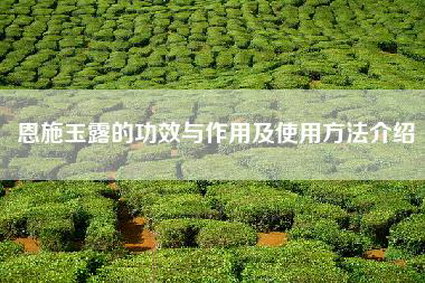 恩施玉露的功效与作用及使用方法介绍