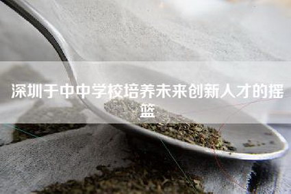 深圳于中中学校培养未来创新人才的摇篮