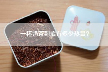 一杯奶茶到底有多少热量？