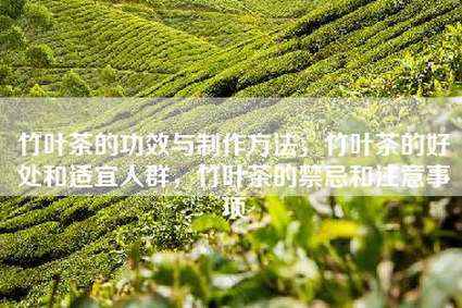 竹叶茶的功效与制作方法，竹叶茶的好处和适宜人群，竹叶茶的禁忌和注意事项