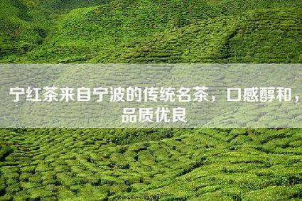 宁红茶来自宁波的传统名茶，口感醇和，品质优良