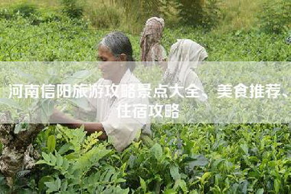 河南信阳旅游攻略景点大全、美食推荐、住宿攻略