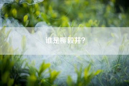谁是柳毅井？