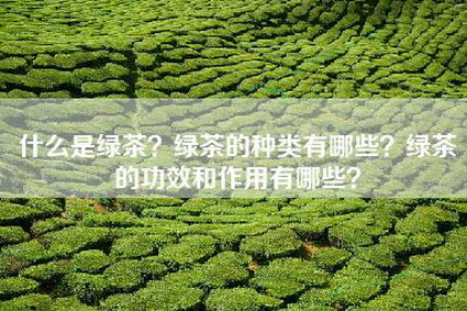什么是绿茶？绿茶的种类有哪些？绿茶的功效和作用有哪些？