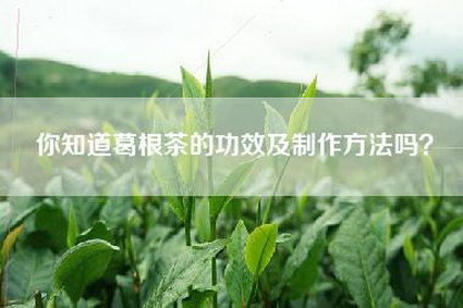 你知道葛根茶的功效及制作方法吗？