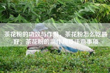 茶花粉的功效与作用，茶花粉怎么吃最好，茶花粉的副作用及注意事项