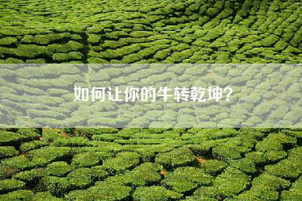 如何让你的牛转乾坤？