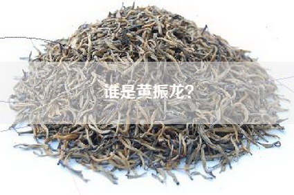 谁是黄振龙？