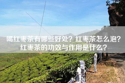 喝红枣茶有哪些好处？红枣茶怎么泡？红枣茶的功效与作用是什么？
