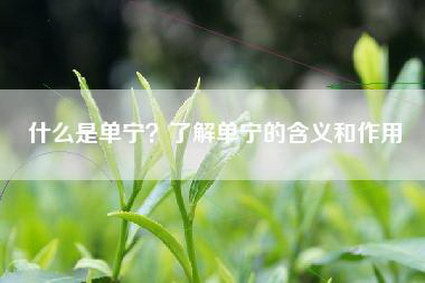什么是单宁？了解单宁的含义和作用