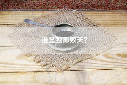 谁是独孤败天？