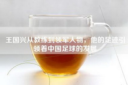 王国兴从教练到领军人物，他的足迹引领着中国足球的发展