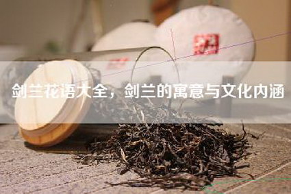 剑兰花语大全，剑兰的寓意与文化内涵