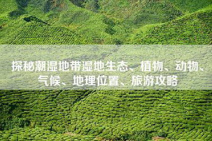 探秘潮湿地带湿地生态、植物、动物、气候、地理位置、旅游攻略