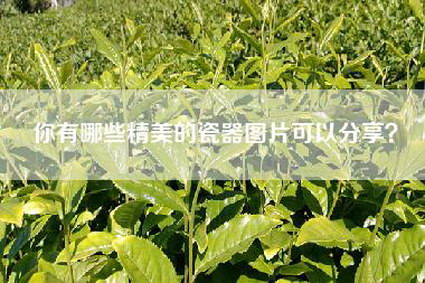 你有哪些精美的瓷器图片可以分享？