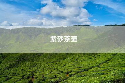紫砂茶壶