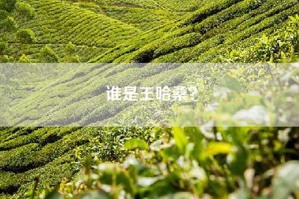 谁是王哈桑？