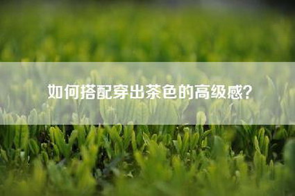 如何搭配穿出茶色的高级感？