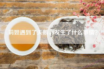 莉妲遇到了天鹅，发生了什么事情？