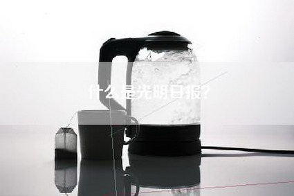 什么是光明日报？