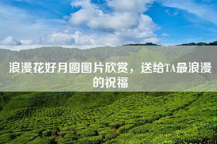 浪漫花好月圆图片欣赏，送给TA最浪漫的祝福