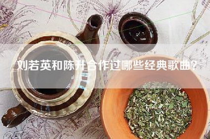 刘若英和陈升合作过哪些经典歌曲？