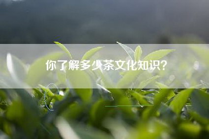 你了解多少茶文化知识？