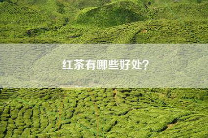 红茶有哪些好处？