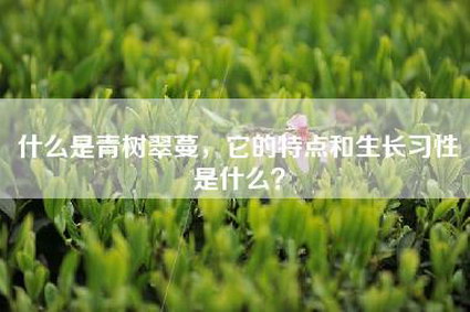 什么是青树翠蔓，它的特点和生长习性是什么？