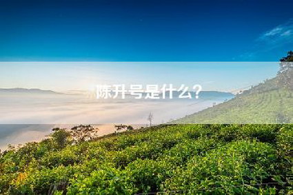 陈升号是什么？