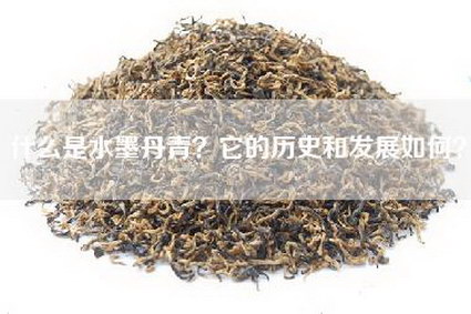 什么是水墨丹青？它的历史和发展如何？