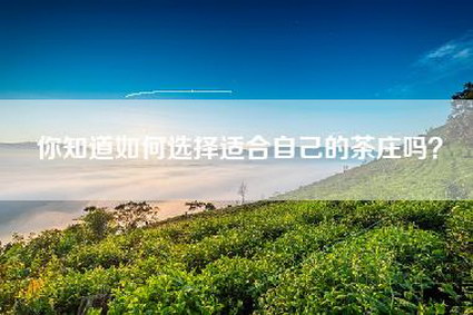 你知道如何选择适合自己的茶庄吗？
