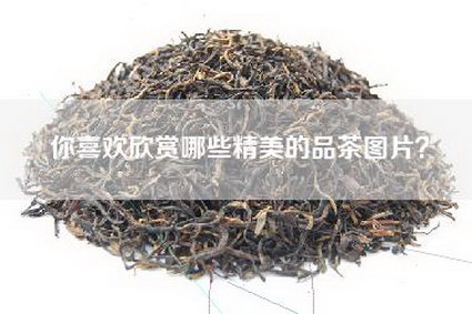 你喜欢欣赏哪些精美的品茶图片？