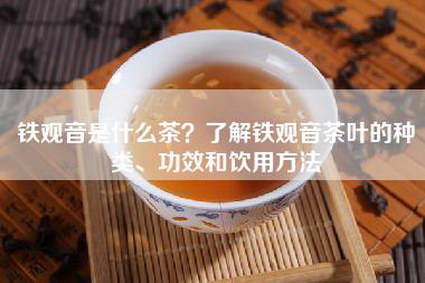铁观音是什么茶？了解铁观音茶叶的种类、功效和饮用方法