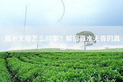 真水无香怎么回事？解密真水无香的真相