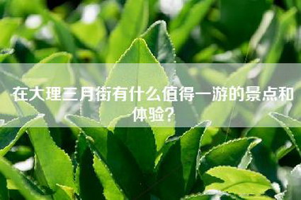 在大理三月街有什么值得一游的景点和体验？