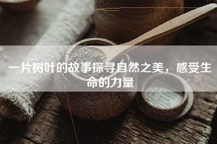 一片树叶的故事探寻自然之美，感受生命的力量