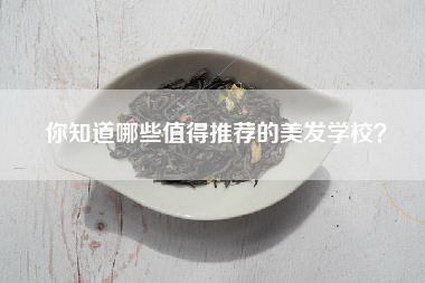 你知道哪些值得推荐的美发学校？