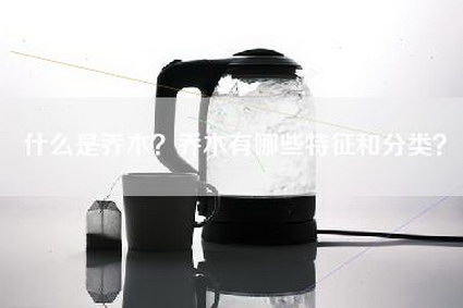 什么是乔木？乔木有哪些特征和分类？